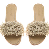 Coral Gables Slide Pre-Order