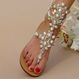 Aurora Gladiator White